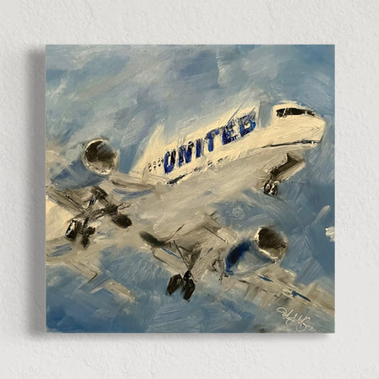 United Inbound United Airlines 737 Painting 1